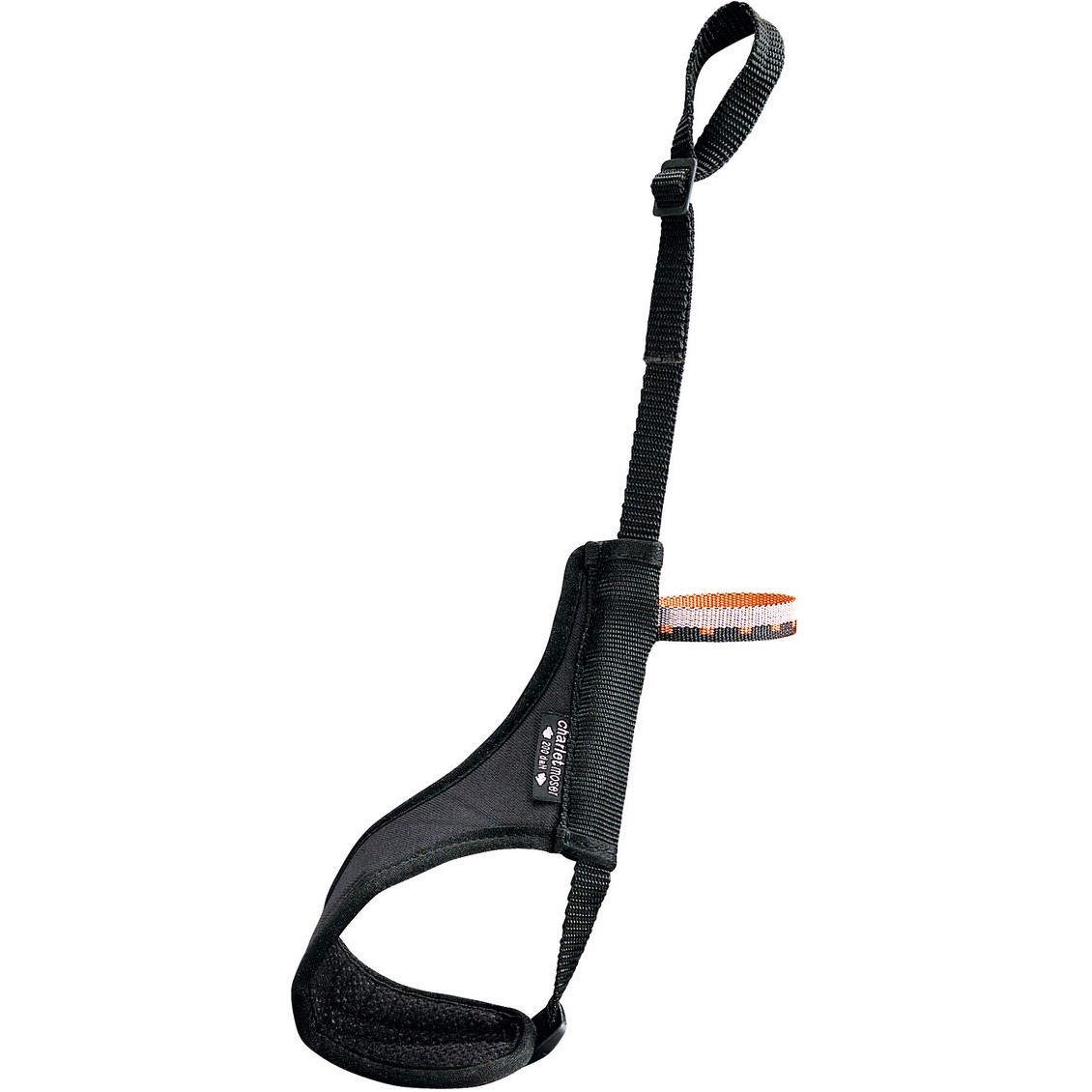 画像1: PETZL ペツル フリーロック (1)
