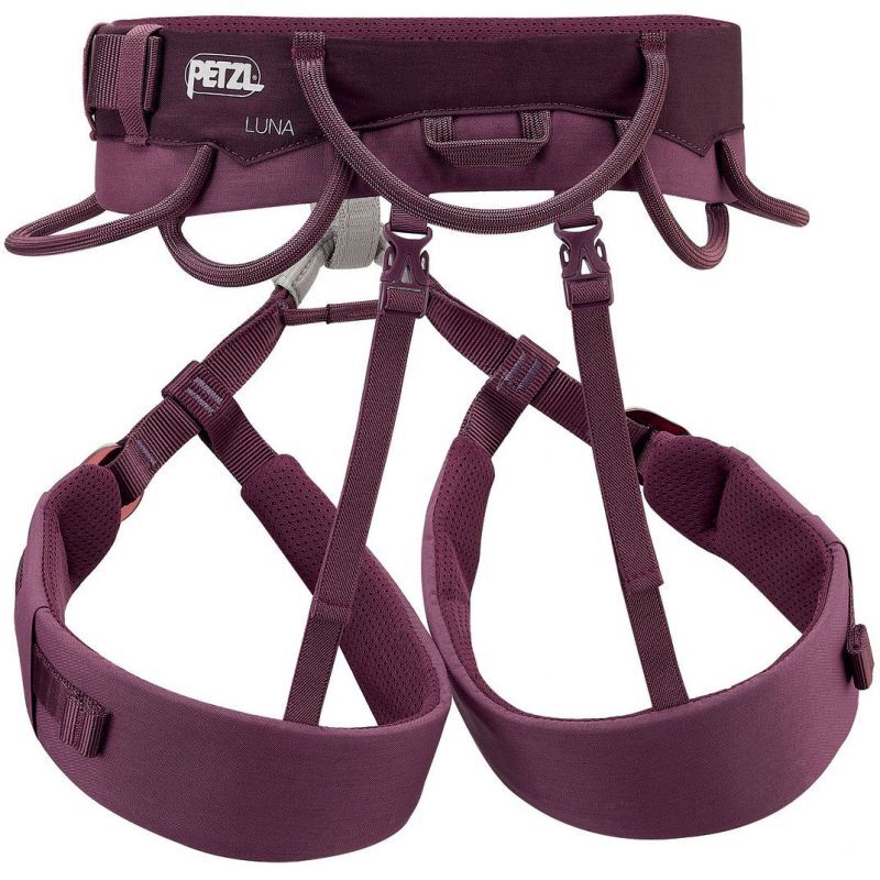 画像2: 【旧モデル】Petzl ペツル ルナ (C035BA) (2)