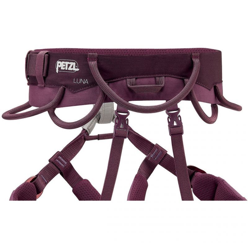 画像4: 【旧モデル】Petzl ペツル ルナ (C035BA) (4)
