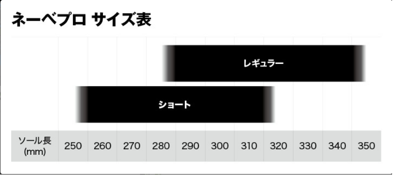 画像10: BlackDiamond ブラックダイヤモンド ネーベプロ (10)