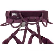 画像4: 【旧モデル】Petzl ペツル ルナ (C035BA) (4)