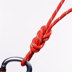 画像6: BEAL ベアール 8mm ランド ゴールデンドライ (6)
