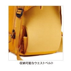 画像9: BLUE ICE ブルーアイス ファイヤークレスト 38 (9)