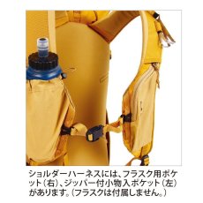 画像6: BLUE ICE ブルーアイス ファイヤークレスト 38 (6)