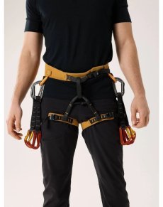 画像5: Arc'teryx アークテリクス AR-395a ハーネス メンズ (5)